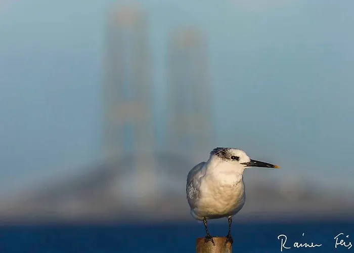Skaerven Beachfront D By Interhome Nyborg